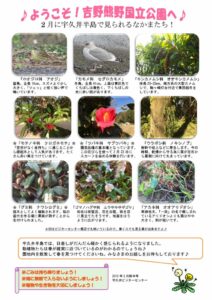201902月前半見どころ裏表のサムネイル