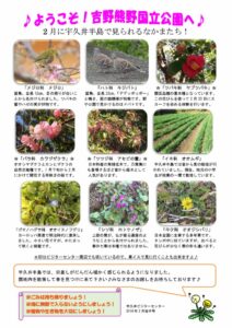 201902月後半見どころ裏表のサムネイル