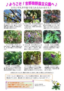 201903月後半見どころ裏表のサムネイル