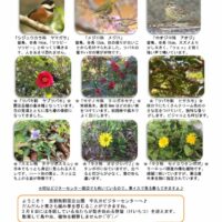 201903月前半見どころ裏表のサムネイル