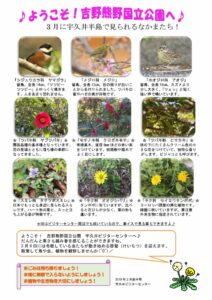 201903月前半見どころ裏表のサムネイル