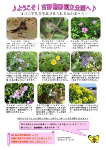 201904月後半見どころ裏表のサムネイル