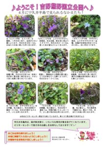 201904月前半見どころ裏表のサムネイル