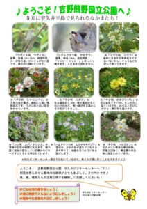 201905月前半見どころ裏表のサムネイル
