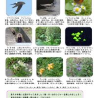 201907月前半見どころ裏表のサムネイル