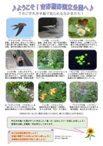 201907月前半見どころ裏表のサムネイル