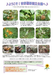 201907後半見どころ裏表のサムネイル