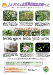 201909月前半見どころ裏表のサムネイル
