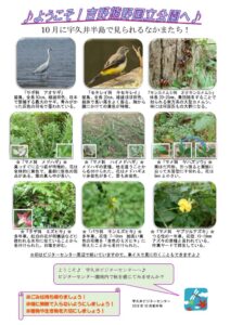 201910月前半見どころ裏表のサムネイル