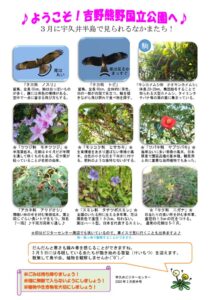 202003月前半見どころ裏表のサムネイル