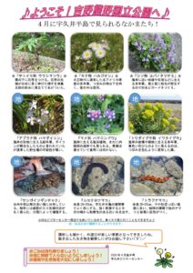 20204月後半見どころ裏表のサムネイル
