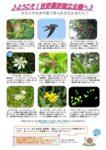 20206月後半見どころのサムネイル