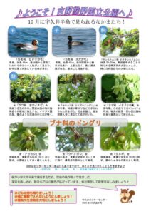 202010月後半見どころ裏表のサムネイル
