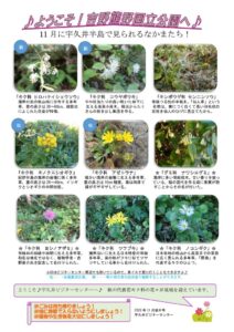 202011月後半見どころ裏表のサムネイル