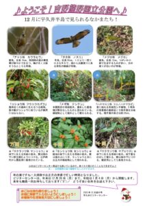 202012月後半見どころ裏表のサムネイル