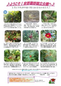 202101月前半見どころ裏表のサムネイル