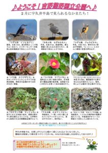 202102月前半見どころ裏表のサムネイル