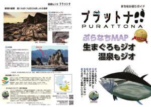 プラットナのサムネイル