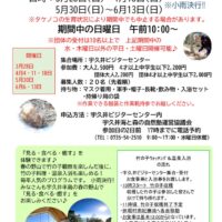 ☆2021便りタケノコ号外のサムネイル