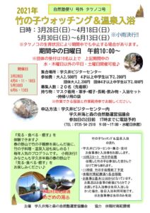 ☆2021便りタケノコ号外のサムネイル