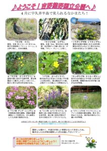 20214月後半見どころ裏表のサムネイル