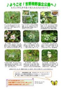 202105月前半見どころ裏表のサムネイル