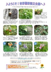 202107月後半見どころ裏表のサムネイル