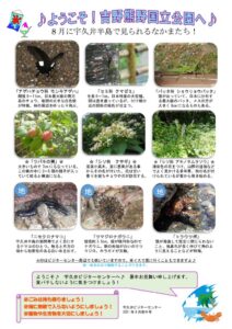 202108月前半見どころ裏表のサムネイル