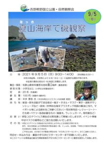 磯観察チラシ（決定）のサムネイル