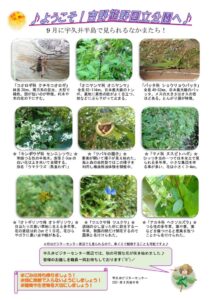 202109月後半見どころ裏表のサムネイル
