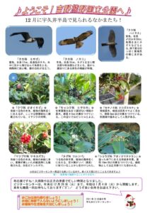 202112月後半見どころ裏表のサムネイル