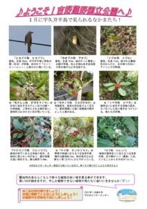 202201月後半見どころ裏表のサムネイル