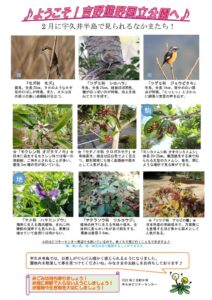202202月前半見どころ裏表のサムネイル