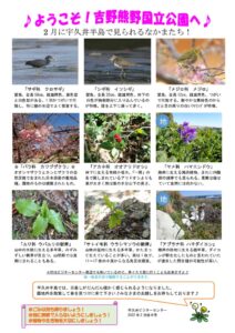202202月後半見どころ裏表のサムネイル