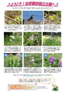 202204月後半見どころ裏表のサムネイル
