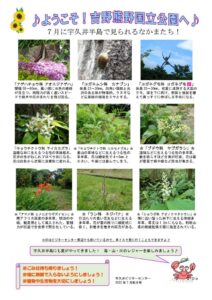 202207月前半見どころ裏表のサムネイル