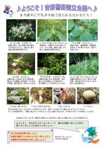 202208月前半見どころ裏表のサムネイル
