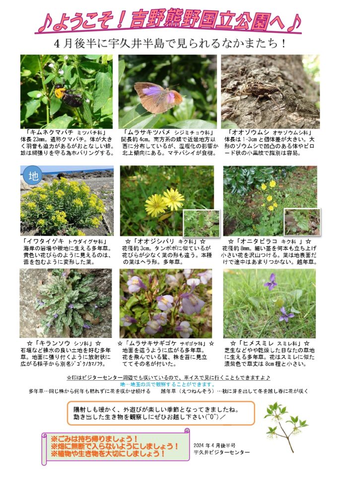 西草様 専用